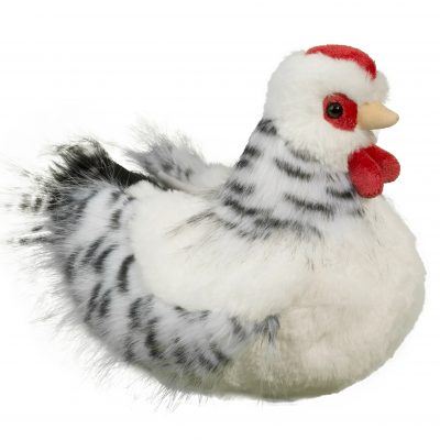 Salty Black & White Hen