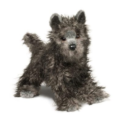 Hazel Cairn Terrier