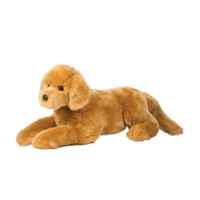 Sherman Golden Retriever, Medium