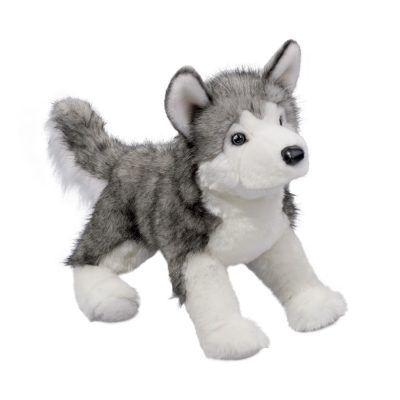 Lobo DLux Husky