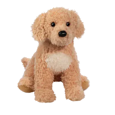 Noodle Golden Doodle